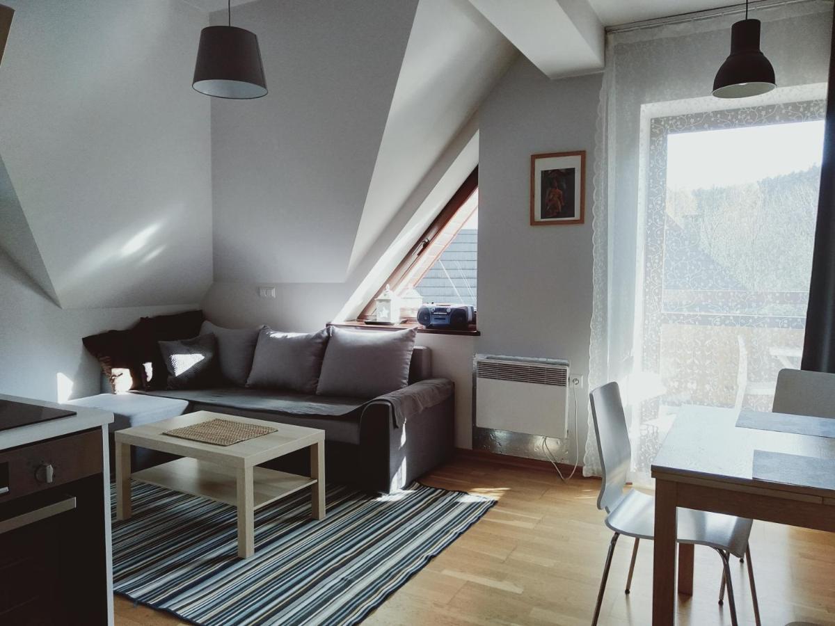 Apartament Kasprowy Jaszczurowka زاكوباني المظهر الخارجي الصورة
